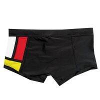 Sexy Male Swim Pants Low Rise Swimsuit Mens Nylon Trunk Swimwear Brief  Mens Swimming Surf Elastic Sunga UnderpantsTH