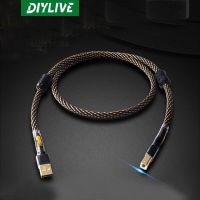 DIYLIVE Hifi High quality HIFI data cable A to B for DAC Pure copper Fever USB data cable A-B square mouth sound card DAC decode Adapters