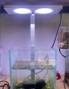 Đèn led WRGB kẹp Coco FF 200, FF 300