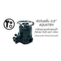 หัวกรองเรซิ่น หัวกรองถังไฟเบอร์ เมนนวลวาล์ว Manual Multi-port Valve Flow  for Water Treatment Systems