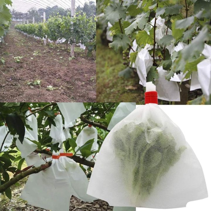 10050pcs-สวนผลไม้ป้องกันกระเป๋าผ้าไม่ทอองุ่นป้องกันกระเป๋า-anti-bird-แมลง-barrier-กระเป๋าสำหรับ-apple-ผัก