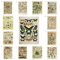 ☬卍 โปสเตอร์ภาพวาดผ้าใบ รูปเห็ด ผีเสื้อ สมุนไพร ดอกไม้ แมลง สไตล์วินเทจ สําหรับตกแต่งผนัง