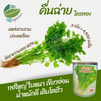 เมล็ดพันธุ์คื่นฉ่าย ขึ้นฉ่าย (Chinese Celery) จำนวน 4,500 เมล็ด เป็นพันธุ์กอใหญ่ ใบใหญ่หนา มีสีเขียวอ่อน  หนักต่อต้นดี