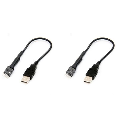 2Pcs 20cm 9 Pin Male to External USB a Male PC Mainboard Internal Data Extension Cable