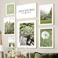 Green Mountain Dandelion จักรยานหญ้า Leaf Wall Art ภาพวาดผ้าใบ Nordic โปสเตอร์และพิมพ์ภาพผนังสำหรับตกแต่งห้องนั่งเล่น