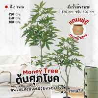 ต้นศุภโชคปลอม 120cm / 150cm / 180cm ต้นไม้ปลอม มงคลนำโชค Money Tree