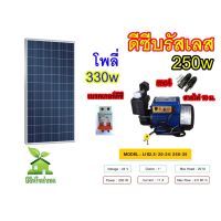 (Promotion+++) ชุดปั๊มน้ำหอยโข่งดีซีบรัสเลส 250w พร้อมแผงโซล่าเซลล์ 330w 1 แผง ราคาสุดคุ้ม ปั้ ม น้ำ ปั๊ม หอยโข่ง ปั้ ม น้ํา โซ ล่า เซล เครื่อง ปั๊ม น้ำ อัตโนมัติ