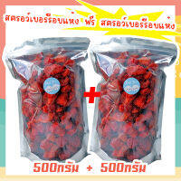 ซื้อ 1 แถม 1 J&amp;N สตอเบอรี่อบแห้ง ไม่มีน้ำตาล 500g+500g (Dried Strawberry) สตรอเบอรี่ สตรอเบอร์รี่ สตรอเบอรี่อบแห้ง สตรอเบอร์รี่อบแห้ง #ผลไม้อบแห้ง #Driedfruits ขนมกินเล่นถูกๆ ขนมกินเล่น อาหารพร้อมทาน ขนมที่ดังใน tiktok ขนมถูกๆส่งฟรี