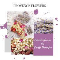 ดอกไม้แห้งสำหรับ​ตกแต่ง​เทียน​ Provence Flowers