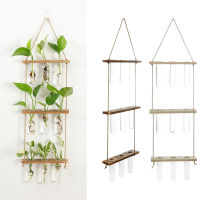 Hydroponic Plant Vase Flower Bud With Wooden Holder Planter Test Tubes Glass Wall Hanging Terrarium