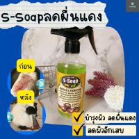 หายคันยุกยิก !! สเปรย์แก้คัน ผื่นแดง ลดอาการคัน ผิวหนังอักเสบ 400 ml. ป้องกันเห็บหมัด ดูแลผิวบำรุงขนให้เงางาม ผลิตจากผลมะคำดีควายแท้