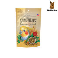 Lafeber Cockatiel Classic Nutri-Berries (284g.) อาหารสำหรับคอกคาทีลเม็ดอาหารเคลือบธัญพืชและเมล็ดพืชเกรดพรีเมี่ยมออร์แกนิค