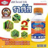 ราคัส สารกำจัดเชื้อรา แก้ใบติด อย่างเฉียบขาด ตัวเดียวกับออติวา ( อะซอกซีสโตรบิน + ไดฟีโนโคนาโซล )