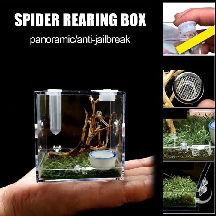 HEEL Professional Spider Feeder with Humidifier Acrylic Spider habitat ...