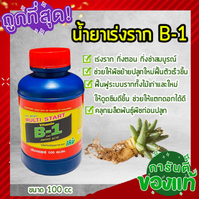 B-1 Multi extra start  ยาเร่งราก น้ำยาเร่งราก บีวัน ช่วยในการแตกรากพืช กิ่งตอน ปักชำ ย้ายปลูกใหม่ ฟื้นตัวเร็ว  100cc homes