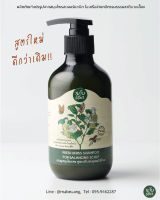 แชมพูสมุนไพรสด สูตรปรับสมดุลหนังศีรษะ (FRESH HERBS SHAMPOO FOR BALANCING SCALP) แชมพูลดผมร่วง ใบย่านาง “มาบเอื้อง”