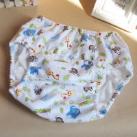 Waterproof Adult Cloth Diaper Cover Can Wash Urine Pants Breathable No Disposable TPU Elderly Nappy Reusable