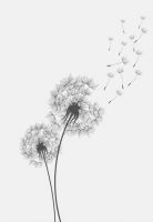 Dandelion Wall Art Canvas Painting Make Wish Dandelion Poster Prints Nordic Style Minimalist Living Room Bedroom Nursery Decor