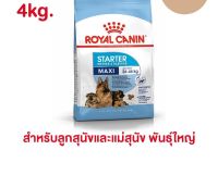 Royal canin Maxi Starter 4 kg อาหารแม่สุนัข และลูกสุนัขพันธุ์ใหญ่ ชนิดเม็ด (MAXI STARTER)