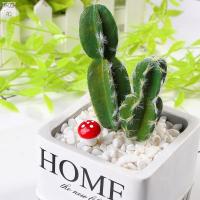 HIROCHAO บ้านตุ๊กตา DIY นางฟ้าบอนไซทิวทัศน์ขายดีขนาดเล็กเห็ดสีแดงการตกแต่งบ้านของตกแต่งในสวนกระถางต้นไม้ขนาดเล็ก