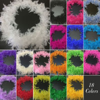 2M Feather Strips Rion String Tapes Trim For Dresses Sewing Crafts Lamp Wedding Party Decor Trimming Crafts Fluffy Rion