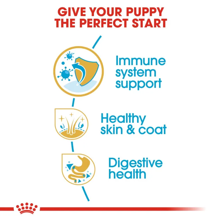 royal-canin-golden-puppy-12-kg-อาหารเฉพาะสายพันธุ์สำหรับลูกโกลเด้นรีทรีฟเวอร์-ไม่เกิน-1-ปี