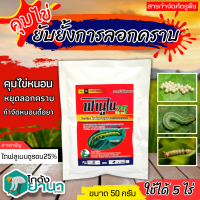 ? ฟานูไน25 (ไดฟลูเบนซูรอน) ขนาด 50กรัม กำจัดเพลี้ย หนอนชอนใบส้ม แมลงวันผลไม้