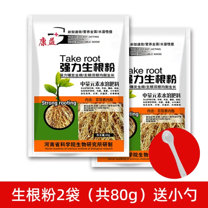 Quick rooting powder plant universal rooting agent cuttage tree quick