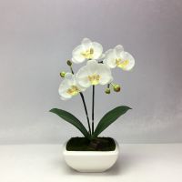 OrientalFineArt ดอกไม้ประดิษฐ์ ดอกกล้วยไม้ปลอม ฟาแลนนอปซิสพร้อมกระถางเซรามิก Artificial Phalaenopsis with Ceramic