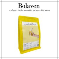 AA Popular Coffee Roaster เมล็ดกาแฟคั่ว Bolaven Yellow Honey coffee bean เมล็ดกาแฟคั่ว บด ส่งฟรี