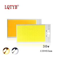 High-power 120x65mm COB light board 30W 12V LED light source cold and warm white light indoor and outdoor lighting