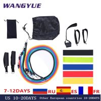 【DT】hot！ 17Pcs/Set Resistance Bands Gym Door Ankle Straps Resist band Exercise Band Expander Tube Pull