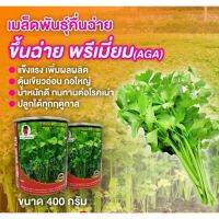 (โปร++) เมล็ดพันธุ์คื่นฉ่ายพรีเมี่ยม ขนาด 400 กรัม ส่วนลด เมล็ดพันธุ์ พันธุ์ข้าว เมล็ดหญ้า เมล็ดข้าวโพด