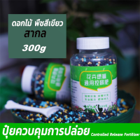 ใช้ครั้งเดียวก็มีผล ปุ๋ยสูตร ปุ๋ยเกล็ดทางใบ ปุ๋ย 300g สารอาหารที่คงอยู่นานถึง 40 วัน เชี่ยวชาญ โตเร็วมาก ดอกไม้สวยกว่า ผลไม้มีขนาดใหญ่ อ่อนโยน ไม่ทำร้ายราก ปุ๋ยบำรุงต้นใบ ปุ๋ยเร่งโตเร็ว ปุ๋ยเร่งดอกผล ปุ๋ยเคมี ปุ๋ยน้ำทางใบ ปุ๋ยสูตร