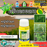 ? ฟาเซ็ท (ควินคลอแรก) ขนาด 250ซีซี สารกำจัดวัชพืชใบแคบ หญ้าข้าวนก หญ้ากอ หญ้าดอกใหญ่ หญ้าไอ้โต้ง