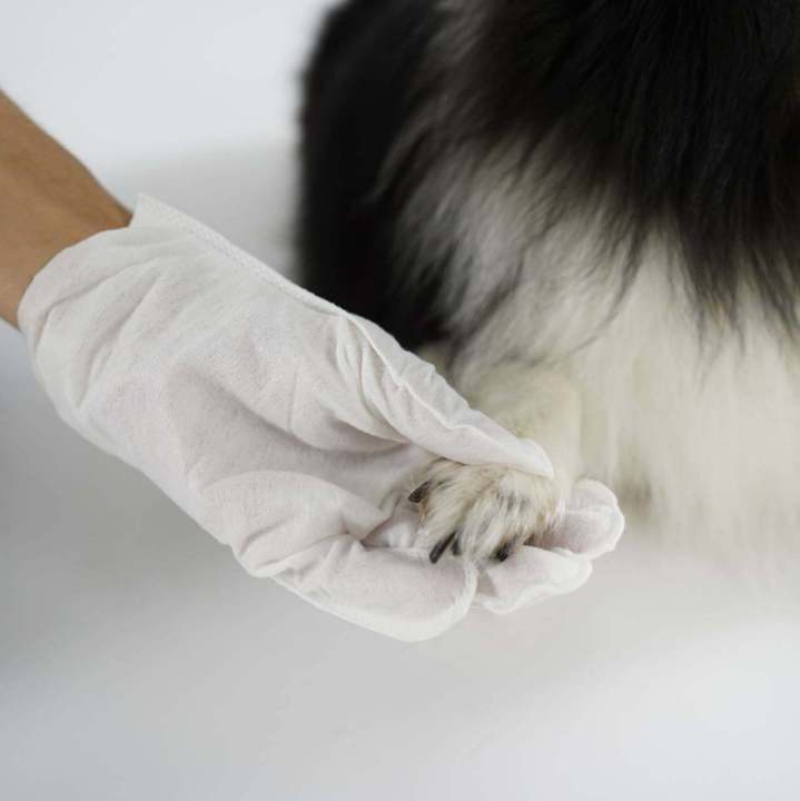petside-glove-shaped-pet-wipes-แผ่นเปียกทำความสะอาด-แบบถุงมือ