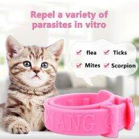 ZZOOI Cat anti-flea mite tick collar grooming tools to remove fleas kitten adjustable neck belt pet collar