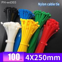 Xingo 10inch Self locking Nylon Cable Zip Ties Plastic Colored Cable Zip Tie 40 lbs UL Rohs Approved Loop Wrap BundleTies 100pcs