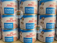 Royal Canin STARTER Mother &amp; Babydog อาหารเปียก แบบเนื้อมูส สำหรับแม่สุนัขและลูกสุนัข ขานด 195 G