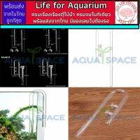 Lilly inflow Aquarium Planted Glass Inflow outlet อินโฟลแก้ว มีประกันในการส่ง อุปกรณ์ไม้น้ำ ตู้ไม้น้ำ ยูไทป์ พร้อมส่งจากในไทย พรรลณไม้น้ำ ตู้ปลา มีของเลย