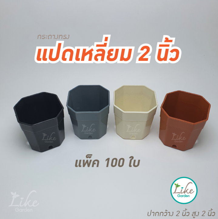 กระถางทรงแปดเหลี่ยม-ขนาด-2-นิ้ว-แพ็ค-100-ใบ-กระถางพลาสติก-กระถางปลูกต้นไม้-กระถางปลูกแคคตัส-กระถางราคาถูก