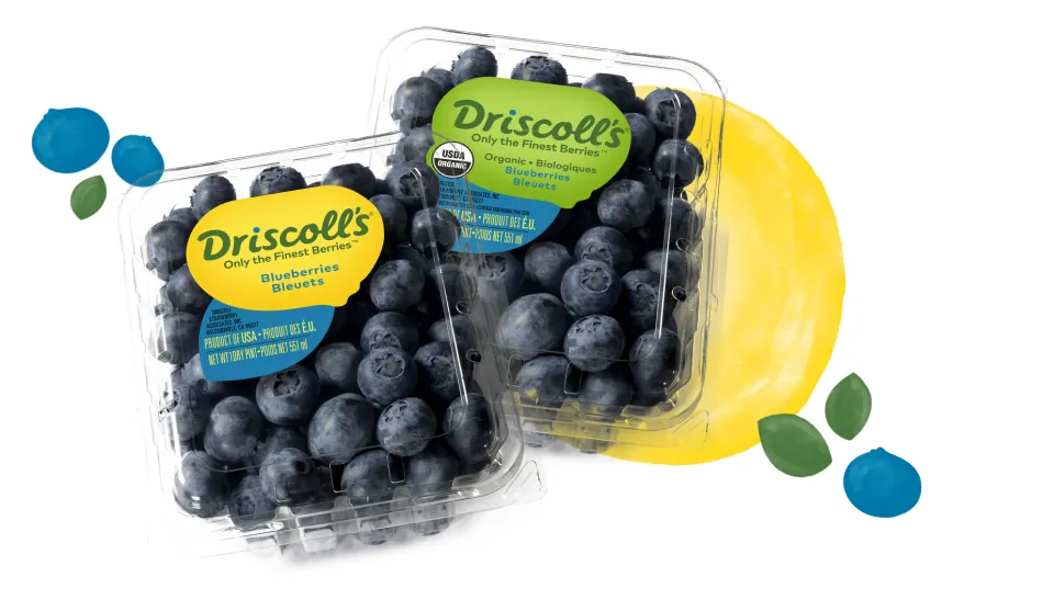 Blueberries - Driscoll's - 125g