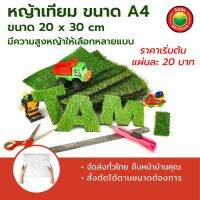 หญ้าเทียมแผ่น ทามิ ขนาด A4 (20x30 ซม) มีความสูงให้เลือกหลายแบบ เช่น 0.8,1,2,3,4 ซม ตามการใช้งาน Artificial Grass A4 size 20x30 cm หญ้าเทียมคุณภาพ มิตสห Mitsaha