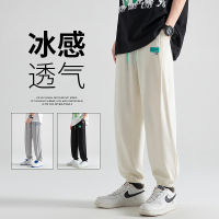 Ice Silk Sports Pants Mens Summer Thin Stretch Cropped Trousers Sweatpants Drape Japanese Style Fashion Brand Ankle Banded Boys Pants