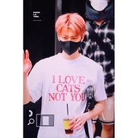 เสื้อยืดลำลองPREORDER - เสื้อยืด ITZAVIBE ‘I LOVE CATS NOT YOU’ I LOVE CAT RED LETTEING T-SHIRTS WHITE แบบแจมิน nct drea