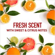 [USA] Lăn sáp khử mùi nam Old Spice Fresh 85g (sáp xanh trong) - Mỹ thumbnail