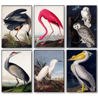 Vintage Bird ผ้าใบพิมพ์โปสเตอร์ Pink Flamingo Snowy Owl Pelican สีขาว Egret ภาพวาดผ้าใบ Wall Art รูปภาพสำหรับห้องนั่งเล่น New