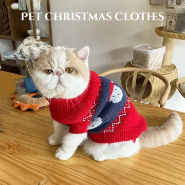 Puppy on sale christmas dress