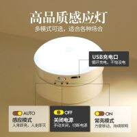 Automatic Wireless Infrared Sensor Lamp Rechargeable Battery Led Small Night Lamp Home Smart Wardrobe Aisle Corridor Stairs-CHN