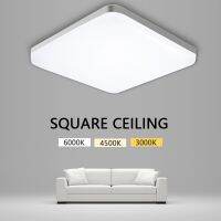 ZZOOI LED Ceiling Lamp AC85-265V 48W 36W 24W 18W Natural Light Ultra Thin Modern Panel Downlights LivingRoom Indoor For BedRoom Fixtur